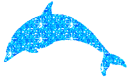 cest beau des dauphins